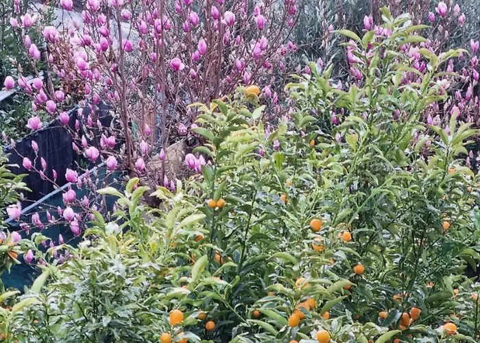 게스트하우스 Soleluna 알벤가